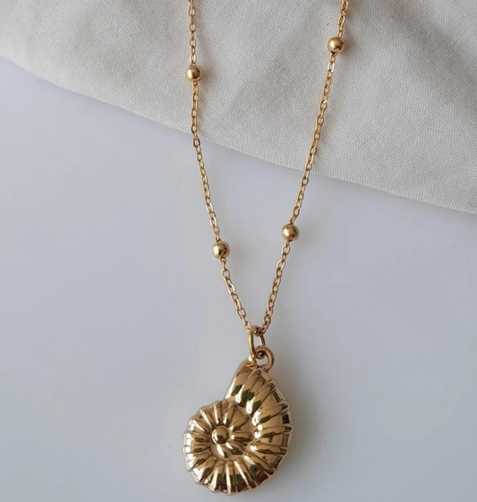 Collier Salinas